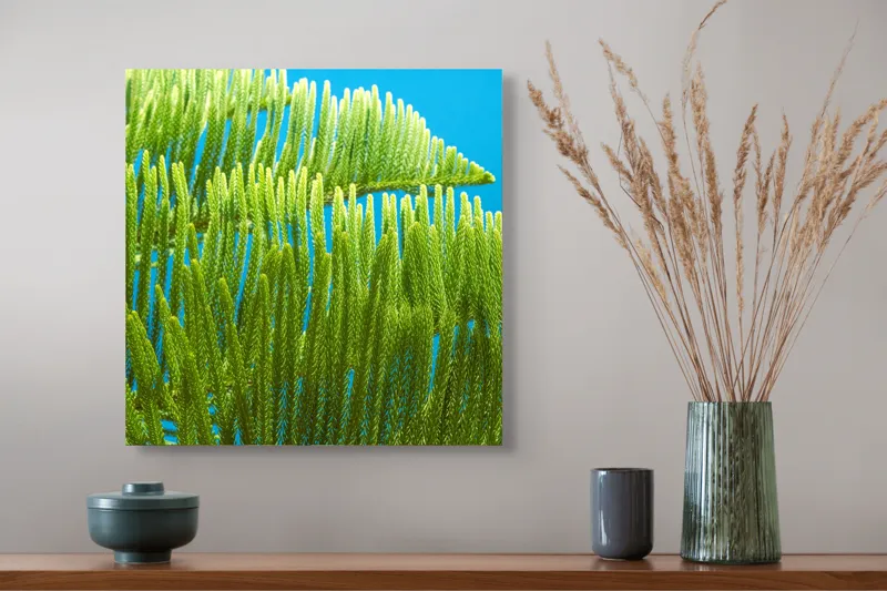 Tablou Canvas, "Dansul frunzelor sub cer senin", Frunze, Verde, Albastru, Contrast, Natură, Textură, Cer, Plante, Lumină, Ușurință, 50 x 50 cm – poza 4