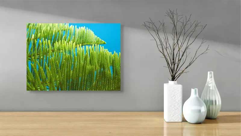 Tablou Canvas, "Dansul frunzelor sub cer senin", Frunze, Verde, Albastru, Contrast, Natură, Textură, Cer, Plante, Lumină, Ușurință, 54 x 39 cm – poza 3
