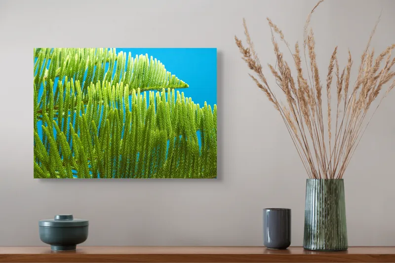 Tablou Canvas, "Dansul frunzelor sub cer senin", Frunze, Verde, Albastru, Contrast, Natură, Textură, Cer, Plante, Lumină, Ușurință, 54 x 39 cm – poza 4