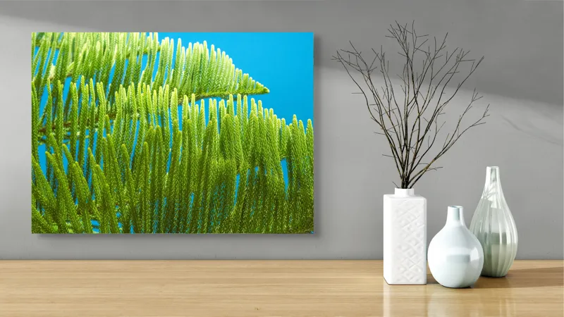 Tablou Canvas, "Dansul frunzelor sub cer senin", Frunze, Verde, Albastru, Contrast, Natură, Textură, Cer, Plante, Lumină, Ușurință, 70 x 50 cm – poza 3