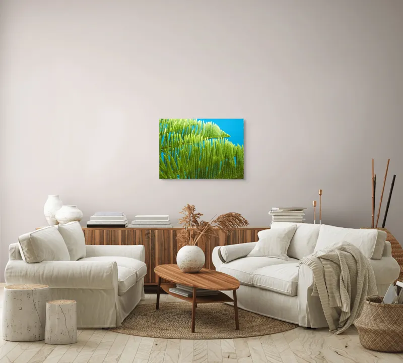 Tablou Canvas, "Dansul frunzelor sub cer senin", Frunze, Verde, Albastru, Contrast, Natură, Textură, Cer, Plante, Lumină, Ușurință, 70 x 50 cm – poza 6