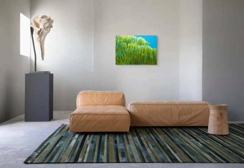 Tablou Canvas, "Dansul frunzelor sub cer senin", Frunze, Verde, Albastru, Contrast, Natură, Textură, Cer, Plante, Lumină, Ușurință, 70 x 50 cm – poza 8