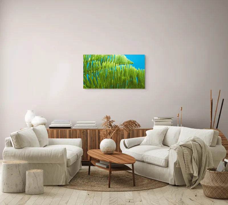 Tablou Canvas, "Dansul frunzelor sub cer senin", Frunze, Verde, Albastru, Contrast, Natură, Textură, Cer, Plante, Lumină, Ușurință, 90 x 50 cm – poza 4
