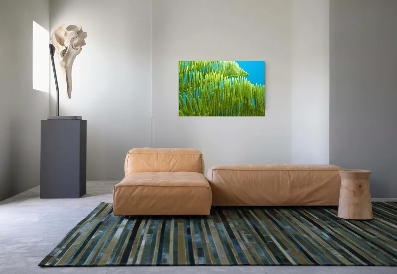 Tablou Canvas, "Dansul frunzelor sub cer senin", Frunze, Verde, Albastru, Contrast, Natură, Textură, Cer, Plante, Lumină, Ușurință, 90 x 50 cm – poza 8