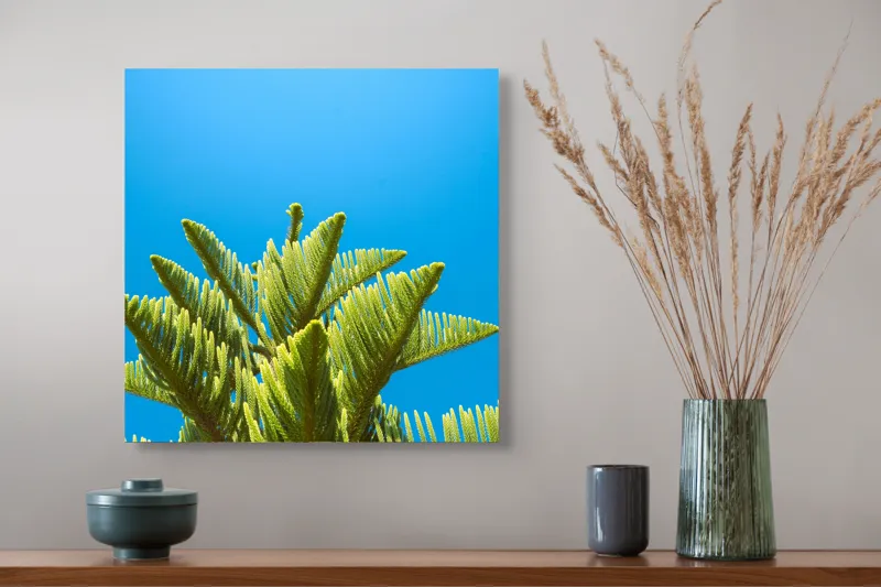 Tablou Canvas, "Verdele naturii sub cerul albastru", Frunziș, Cer, Verde, Albastru, Vârfuri, Natură, Soare, Luminozitate, Vară, 50 x 50 cm – poza 4
