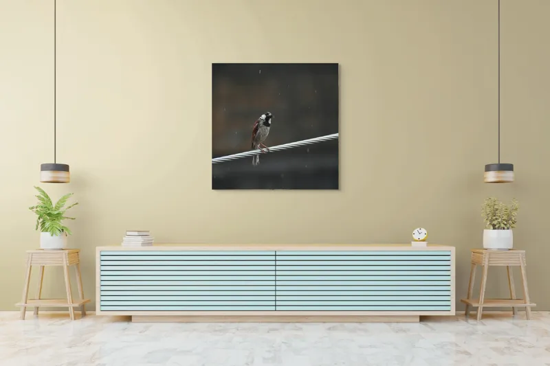 Tablou Canvas, "Vrăbioara în ploaia de toamnă", Pasăre, Cablu, Ploaie, Fundal, Singurătate, Natură, Melancolie, Pene, Cer, Liniște, 100 x 100 cm – poza 5