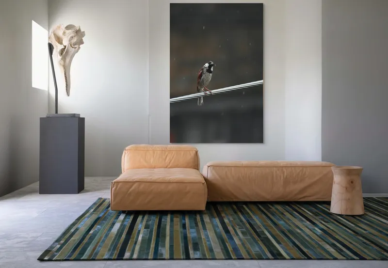 Tablou Canvas, "Vrăbioara în ploaia de toamnă", Pasăre, Cablu, Ploaie, Fundal, Singurătate, Natură, Melancolie, Pene, Cer, Liniște, 100 x 150 cm – poza 7