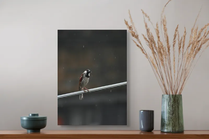 Tablou Canvas, "Vrăbioara în ploaia de toamnă", Pasăre, Cablu, Ploaie, Fundal, Singurătate, Natură, Melancolie, Pene, Cer, Liniște, 39 x 54 cm – poza 3