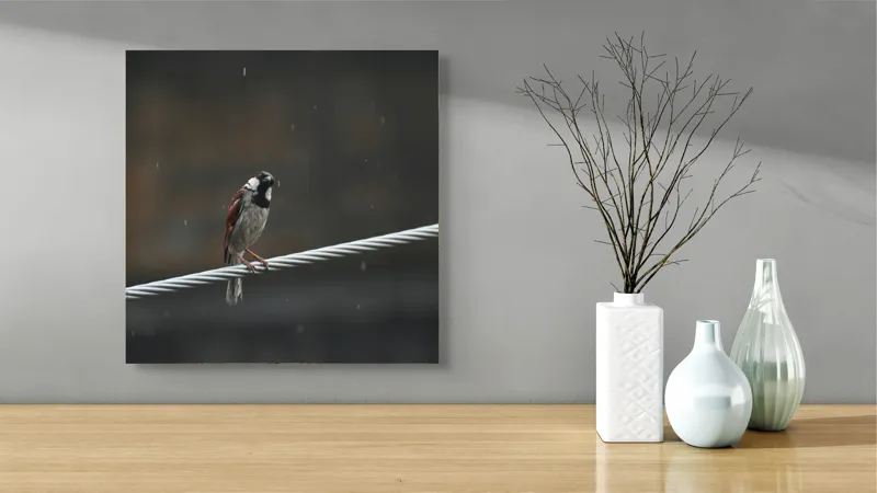 Tablou Canvas, "Vrăbioara în ploaia de toamnă", Pasăre, Cablu, Ploaie, Fundal, Singurătate, Natură, Melancolie, Pene, Cer, Liniște, 50 x 50 cm – poza 3