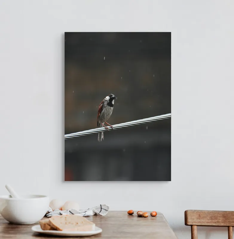 Tablou Canvas, "Vrăbioara în ploaia de toamnă", Pasăre, Cablu, Ploaie, Fundal, Singurătate, Natură, Melancolie, Pene, Cer, Liniște, 50 x 70 cm – poza 3