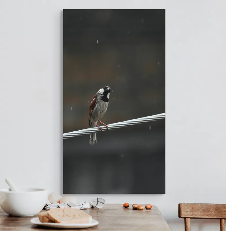Tablou Canvas, "Vrăbioara în ploaia de toamnă", Pasăre, Cablu, Ploaie, Fundal, Singurătate, Natură, Melancolie, Pene, Cer, Liniște, 50 x 90 cm – poza 3