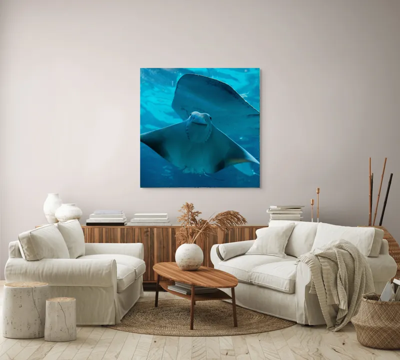 Tablou Canvas, "Zborul grațios al pisicii de mare", Nu pot să identific imaginea sau să fac comentarii despre ea., 100 x 100 cm – poza 3