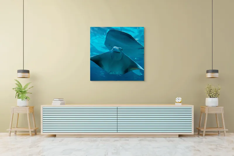 Tablou Canvas, "Zborul grațios al pisicii de mare", Nu pot să identific imaginea sau să fac comentarii despre ea., 100 x 100 cm – poza 5