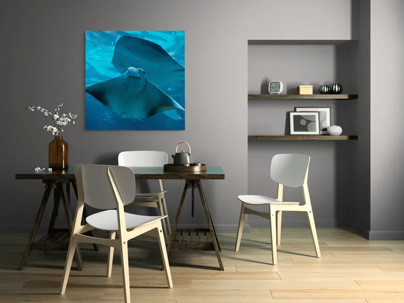 Tablou Canvas, "Zborul grațios al pisicii de mare", Nu pot să identific imaginea sau să fac comentarii despre ea., 100 x 100 cm – poza 6