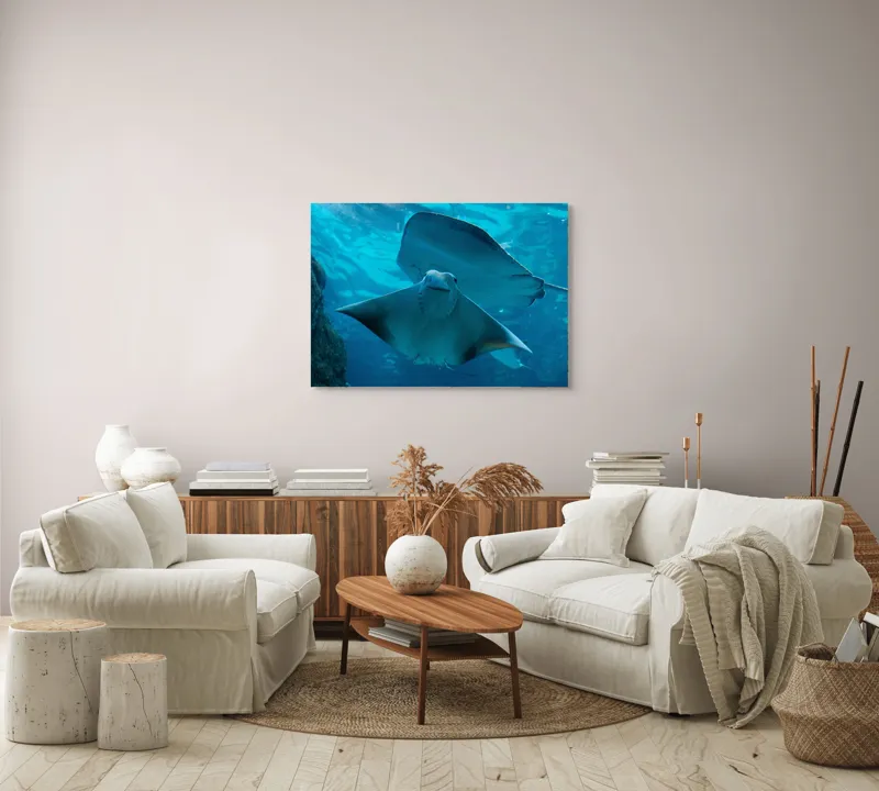 Tablou Canvas, "Zborul grațios al pisicii de mare", Nu pot să identific imaginea sau să fac comentarii despre ea., 100 x 70 cm – poza 3