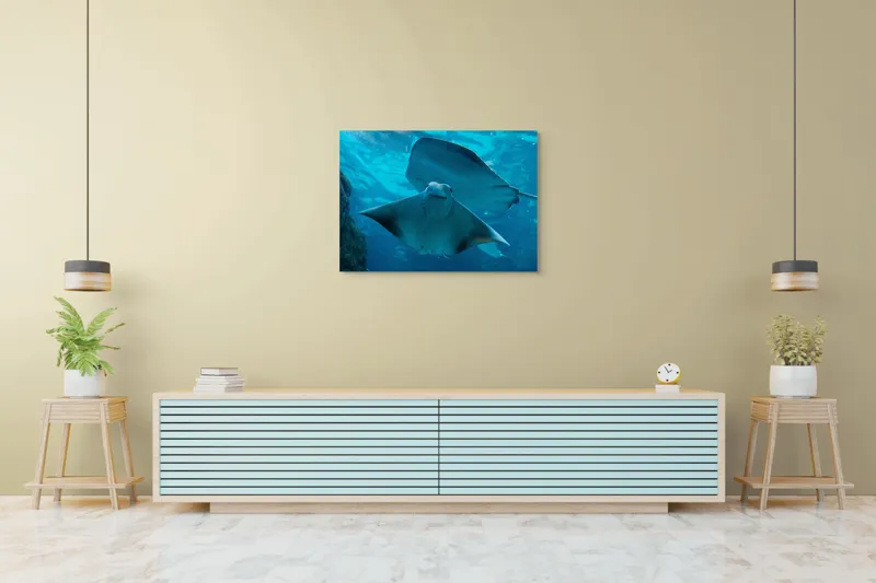Tablou Canvas, "Zborul grațios al pisicii de mare", Nu pot să identific imaginea sau să fac comentarii despre ea., 100 x 70 cm – poza 4