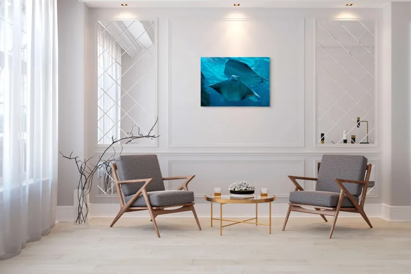 Tablou Canvas, "Zborul grațios al pisicii de mare", Nu pot să identific imaginea sau să fac comentarii despre ea., 100 x 70 cm – poza 5