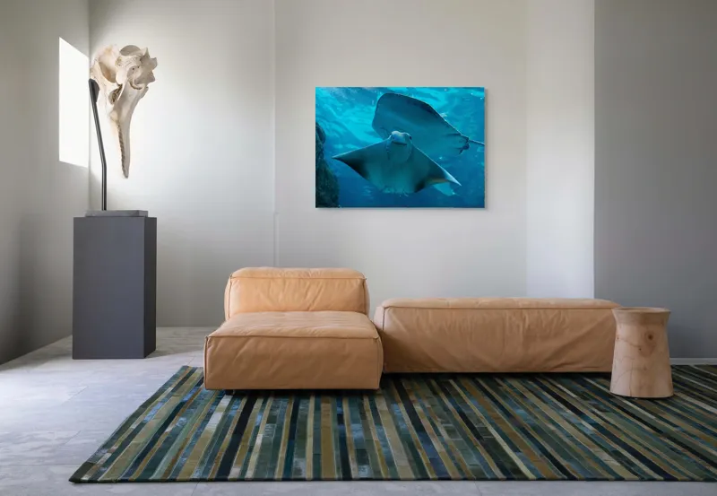 Tablou Canvas, "Zborul grațios al pisicii de mare", Nu pot să identific imaginea sau să fac comentarii despre ea., 100 x 70 cm – poza 7