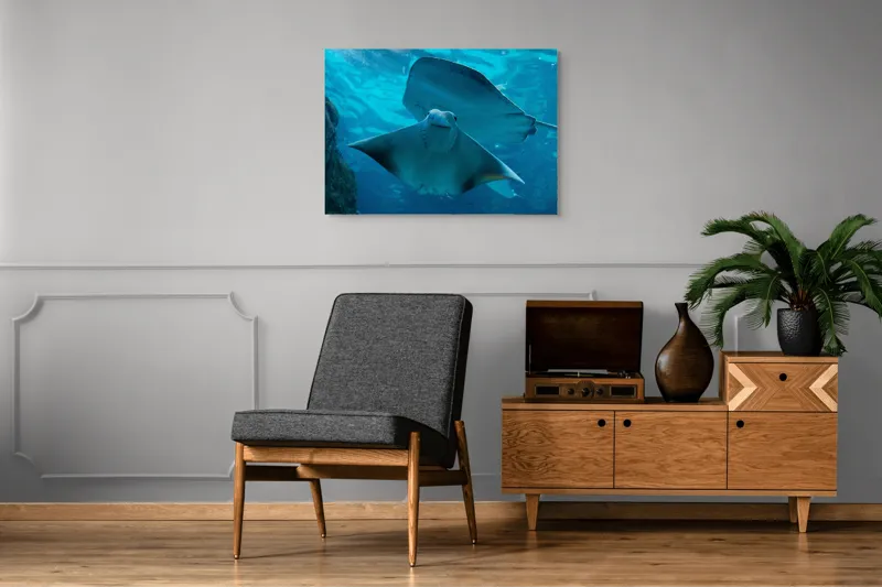 Tablou Canvas, "Zborul grațios al pisicii de mare", Nu pot să identific imaginea sau să fac comentarii despre ea., 100 x 70 cm – poza 8
