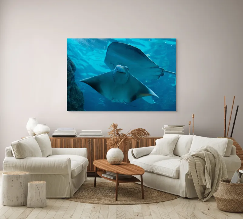 Tablou Canvas, "Zborul grațios al pisicii de mare", 150 x 100 cm – poza 3