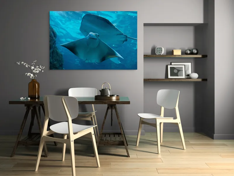 Tablou Canvas, "Zborul grațios al pisicii de mare", 150 x 100 cm – poza 5