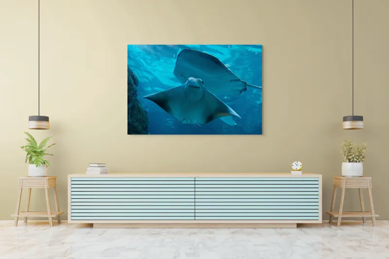 Tablou Canvas, "Zborul grațios al pisicii de mare", 150 x 100 cm – poza 6