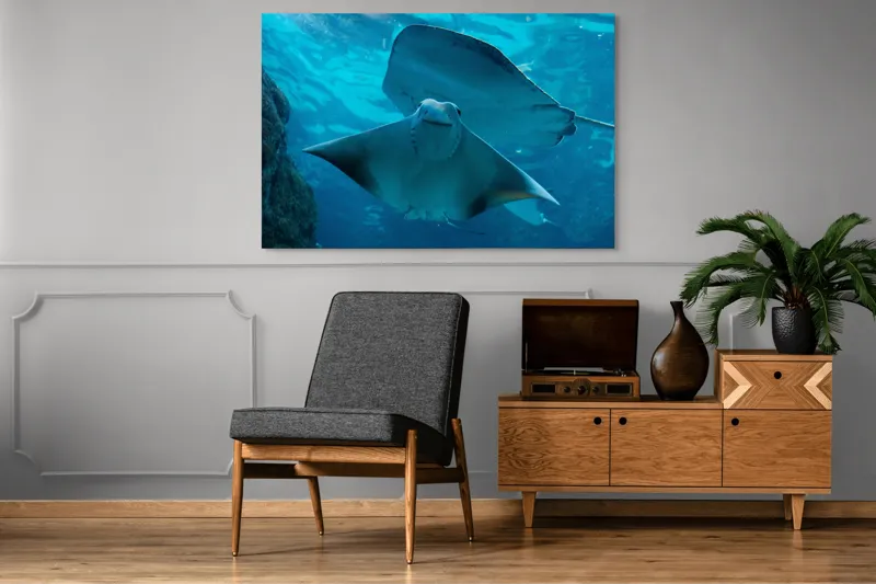 Tablou Canvas, "Zborul grațios al pisicii de mare", 150 x 100 cm – poza 8