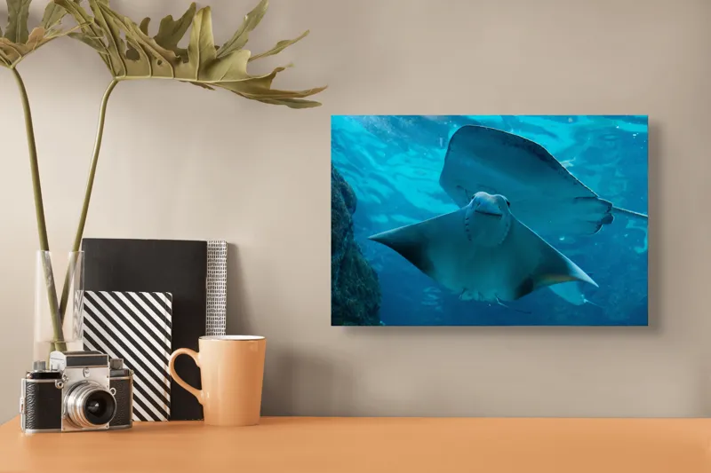 Tablou Canvas, "Zborul grațios al pisicii de mare", Nu pot să identific imaginea sau să fac comentarii despre ea., 39 x 26 cm – poza 3