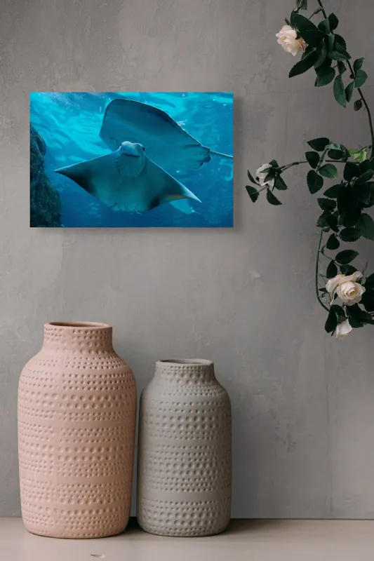 Tablou Canvas, "Zborul grațios al pisicii de mare", Nu pot să identific imaginea sau să fac comentarii despre ea., 39 x 26 cm – poza 4