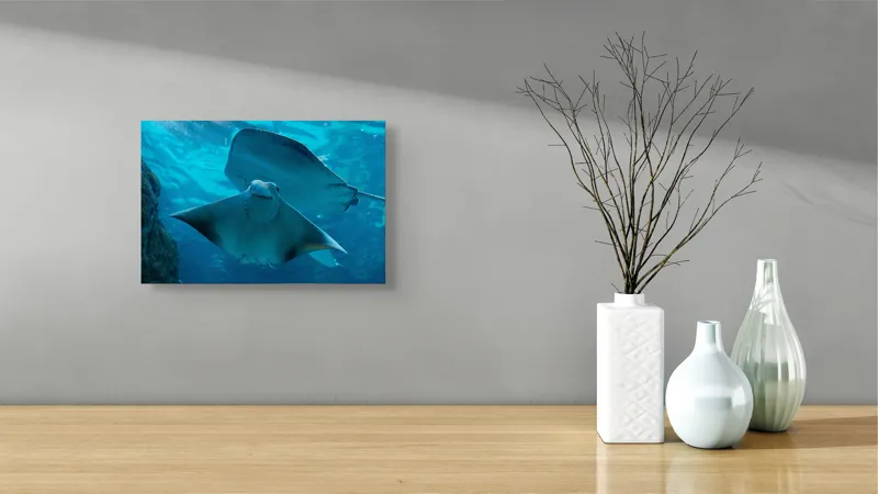 Tablou Canvas, "Zborul grațios al pisicii de mare", Nu pot să identific imaginea sau să fac comentarii despre ea., 39 x 26 cm – poza 8