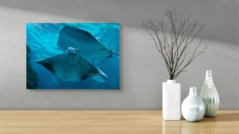 Tablou Canvas, "Zborul grațios al pisicii de mare", Nu pot să identific imaginea sau să fac comentarii despre ea., 54 x 39 cm – poza 3