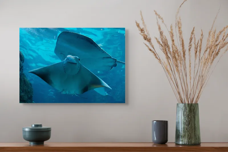 Tablou Canvas, "Zborul grațios al pisicii de mare", Nu pot să identific imaginea sau să fac comentarii despre ea., 54 x 39 cm – poza 4