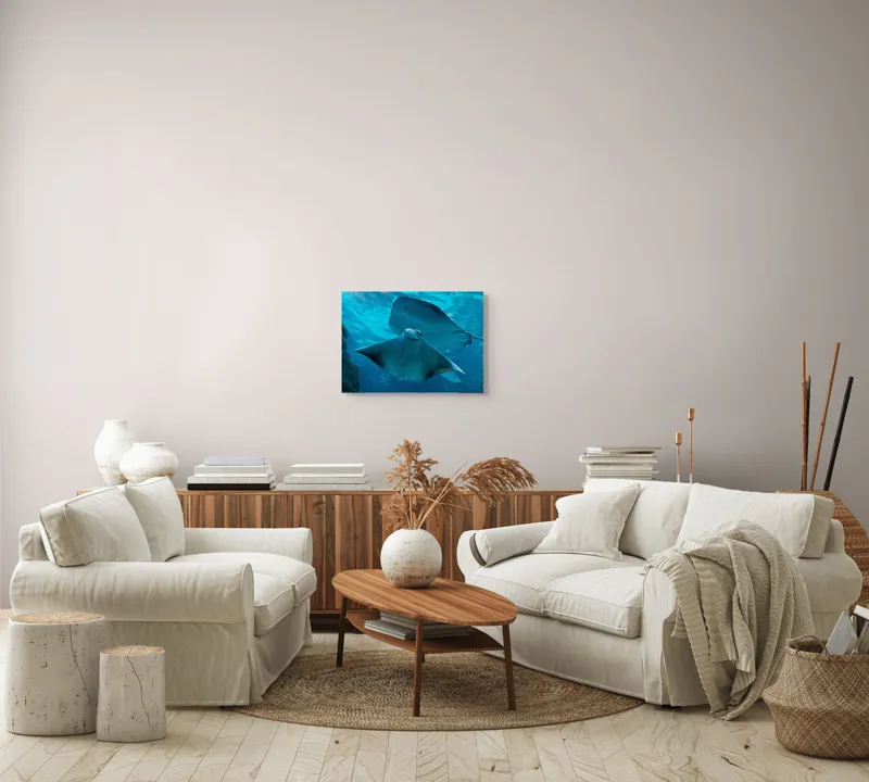 Tablou Canvas, "Zborul grațios al pisicii de mare", Nu pot să identific imaginea sau să fac comentarii despre ea., 54 x 39 cm – poza 5