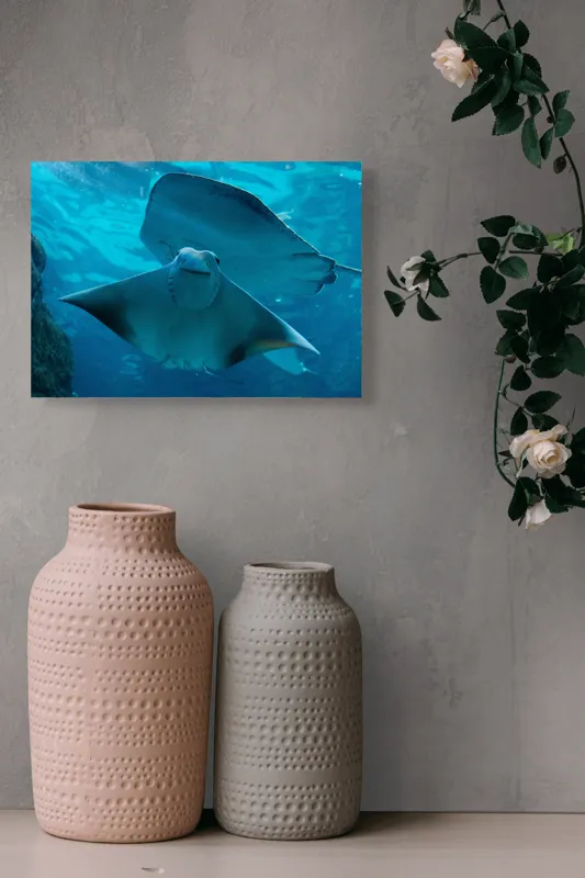 Tablou Canvas, "Zborul grațios al pisicii de mare", Nu pot să identific imaginea sau să fac comentarii despre ea., 54 x 39 cm – poza 8