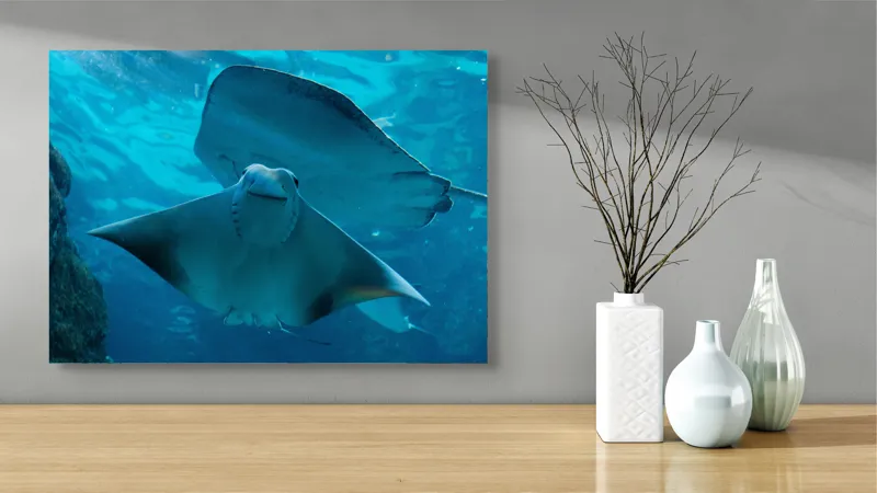 Tablou Canvas, "Zborul grațios al pisicii de mare", Nu pot să identific imaginea sau să fac comentarii despre ea., 70 x 50 cm – poza 3