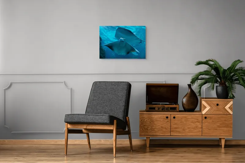 Tablou Canvas, "Zborul grațios al pisicii de mare", Nu pot să identific imaginea sau să fac comentarii despre ea., 70 x 50 cm – poza 4