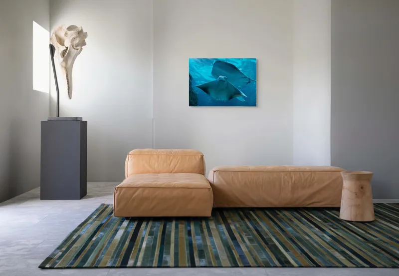 Tablou Canvas, "Zborul grațios al pisicii de mare", Nu pot să identific imaginea sau să fac comentarii despre ea., 70 x 50 cm – poza 8