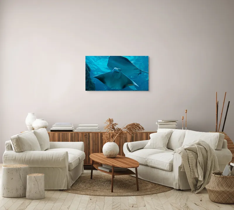 Tablou Canvas, "Zborul grațios al pisicii de mare", Nu pot să identific imaginea sau să fac comentarii despre ea., 90 x 50 cm – poza 4
