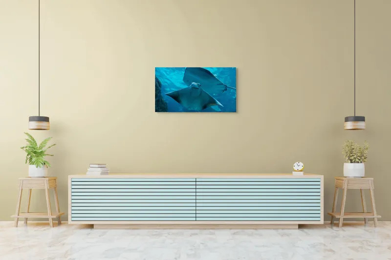 Tablou Canvas, "Zborul grațios al pisicii de mare", Nu pot să identific imaginea sau să fac comentarii despre ea., 90 x 50 cm – poza 5