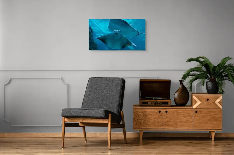 Tablou Canvas, "Zborul grațios al pisicii de mare", Nu pot să identific imaginea sau să fac comentarii despre ea., 90 x 50 cm – poza 6