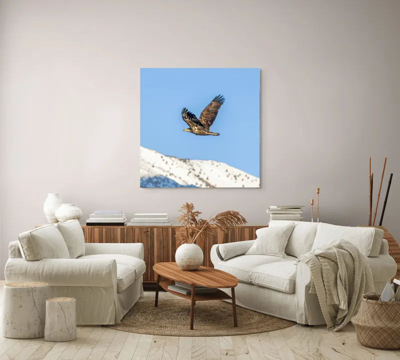 Tablou Canvas, "Vulturul stăpân al cerului albastru", Vultur, Cer, Zbor, Munte, Nevatat, Libertate, Natură, Majestuos, Aripi, Peisaj, 100 x 100 cm – poza 3
