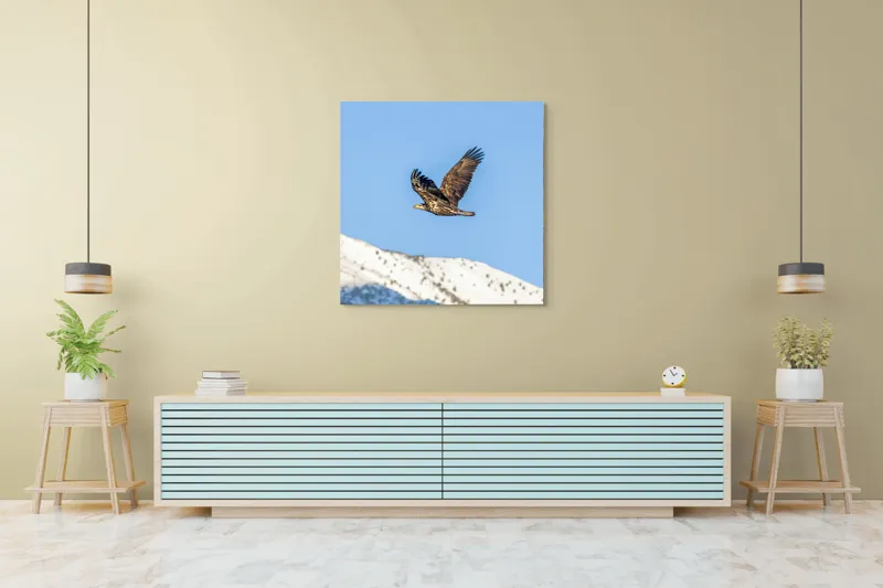 Tablou Canvas, "Vulturul stăpân al cerului albastru", Vultur, Cer, Zbor, Munte, Nevatat, Libertate, Natură, Majestuos, Aripi, Peisaj, 100 x 100 cm – poza 5