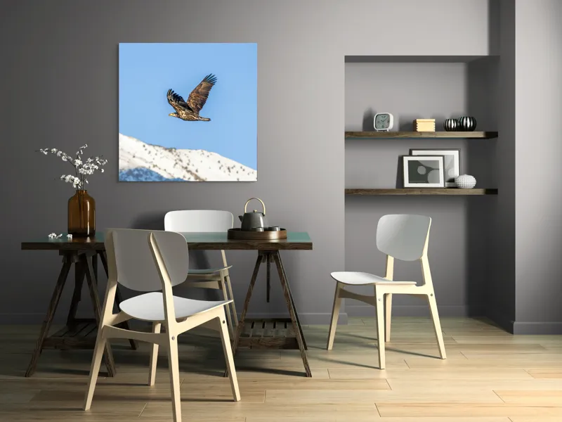 Tablou Canvas, "Vulturul stăpân al cerului albastru", Vultur, Cer, Zbor, Munte, Nevatat, Libertate, Natură, Majestuos, Aripi, Peisaj, 100 x 100 cm – poza 6