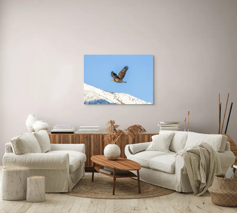 Tablou Canvas, "Vulturul stăpân al cerului albastru", Vultur, Cer, Zbor, Munte, Nevatat, Libertate, Natură, Majestuos, Aripi, Peisaj, 100 x 70 cm – poza 3
