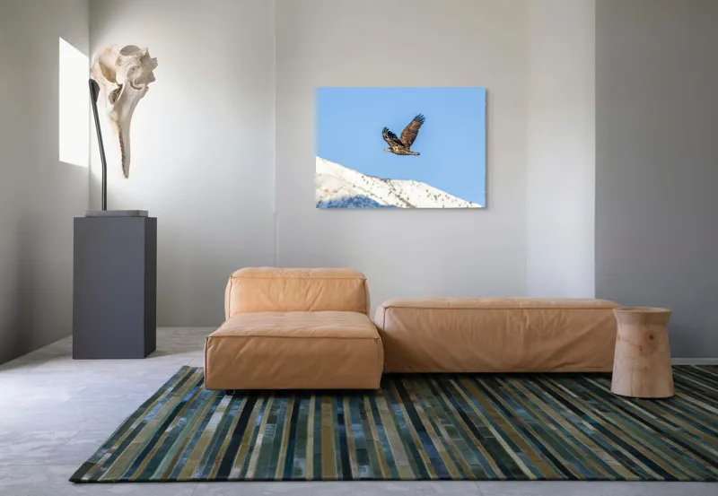 Tablou Canvas, "Vulturul stăpân al cerului albastru", Vultur, Cer, Zbor, Munte, Nevatat, Libertate, Natură, Majestuos, Aripi, Peisaj, 100 x 70 cm – poza 7