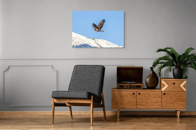 Tablou Canvas, "Vulturul stăpân al cerului albastru", Vultur, Cer, Zbor, Munte, Nevatat, Libertate, Natură, Majestuos, Aripi, Peisaj, 100 x 70 cm – poza 8