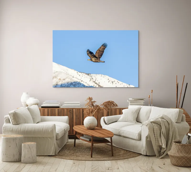 Tablou Canvas, "Vulturul stăpân al cerului albastru", Vultur, Cer, Zbor, Munte, Nevatat, Libertate, Natură, Majestuos, Aripi, Peisaj, 150 x 100 cm – poza 3