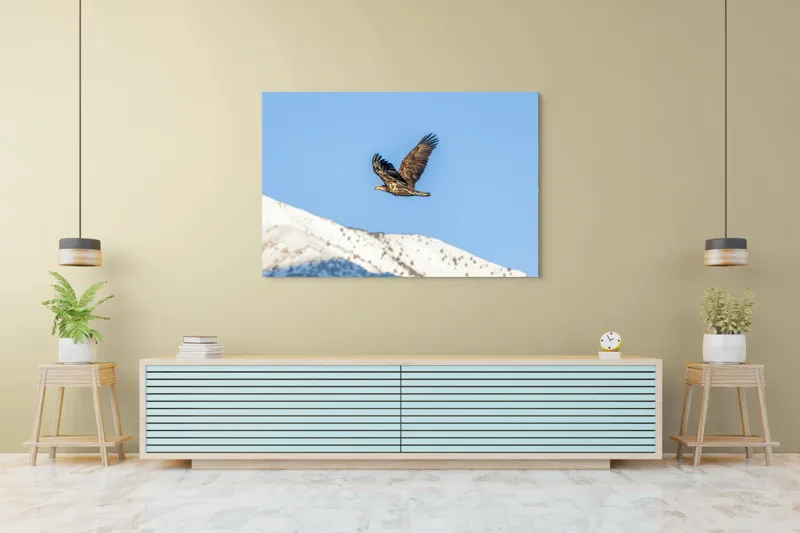 Tablou Canvas, "Vulturul stăpân al cerului albastru", Vultur, Cer, Zbor, Munte, Nevatat, Libertate, Natură, Majestuos, Aripi, Peisaj, 150 x 100 cm – poza 6