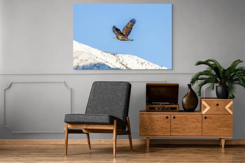 Tablou Canvas, "Vulturul stăpân al cerului albastru", Vultur, Cer, Zbor, Munte, Nevatat, Libertate, Natură, Majestuos, Aripi, Peisaj, 150 x 100 cm – poza 8