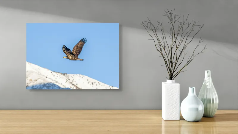 Tablou Canvas, "Vulturul stăpân al cerului albastru", Vultur, Cer, Zbor, Munte, Nevatat, Libertate, Natură, Majestuos, Aripi, Peisaj, 54 x 39 cm – poza 3